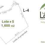 Lote 5