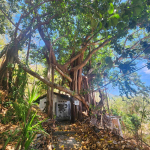 Gringo Gulch Lot 7