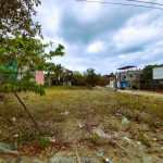Lote Amapa