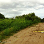 Lote Cordero