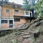 Naranjo 359