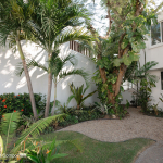 Caracol 24 Terralta III